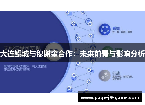 大连鲲城与穆谢奎合作：未来前景与影响分析