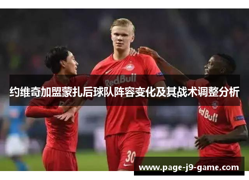 约维奇加盟蒙扎后球队阵容变化及其战术调整分析