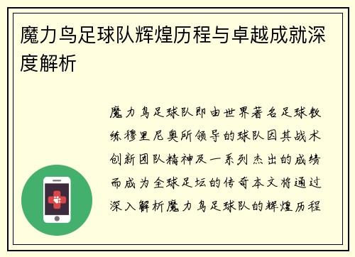 魔力鸟足球队辉煌历程与卓越成就深度解析 魔力鸟足球队辉煌历程与卓越成就深度解析